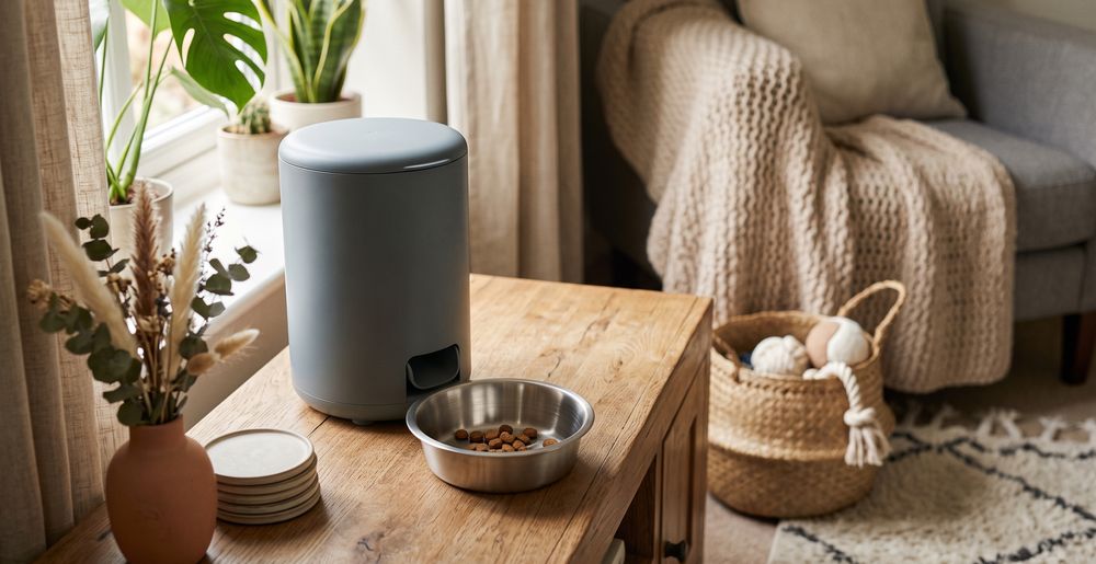 Best Automatic Pet Feeder for Reliable Portion Control